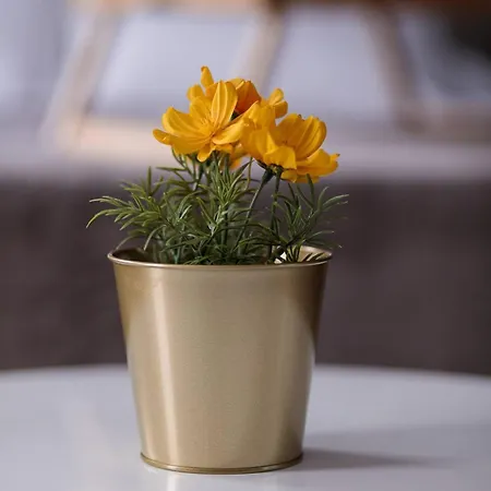 Lovely 1bed Seafront Spb - Flat 4 By Homely 아파트