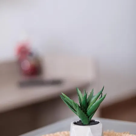 Lovely 1bed Seafront Spb - Flat 4 By Homely 아파트 세인트폴스베이